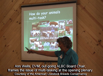 Ann Wells on Multi-tasking Livestock